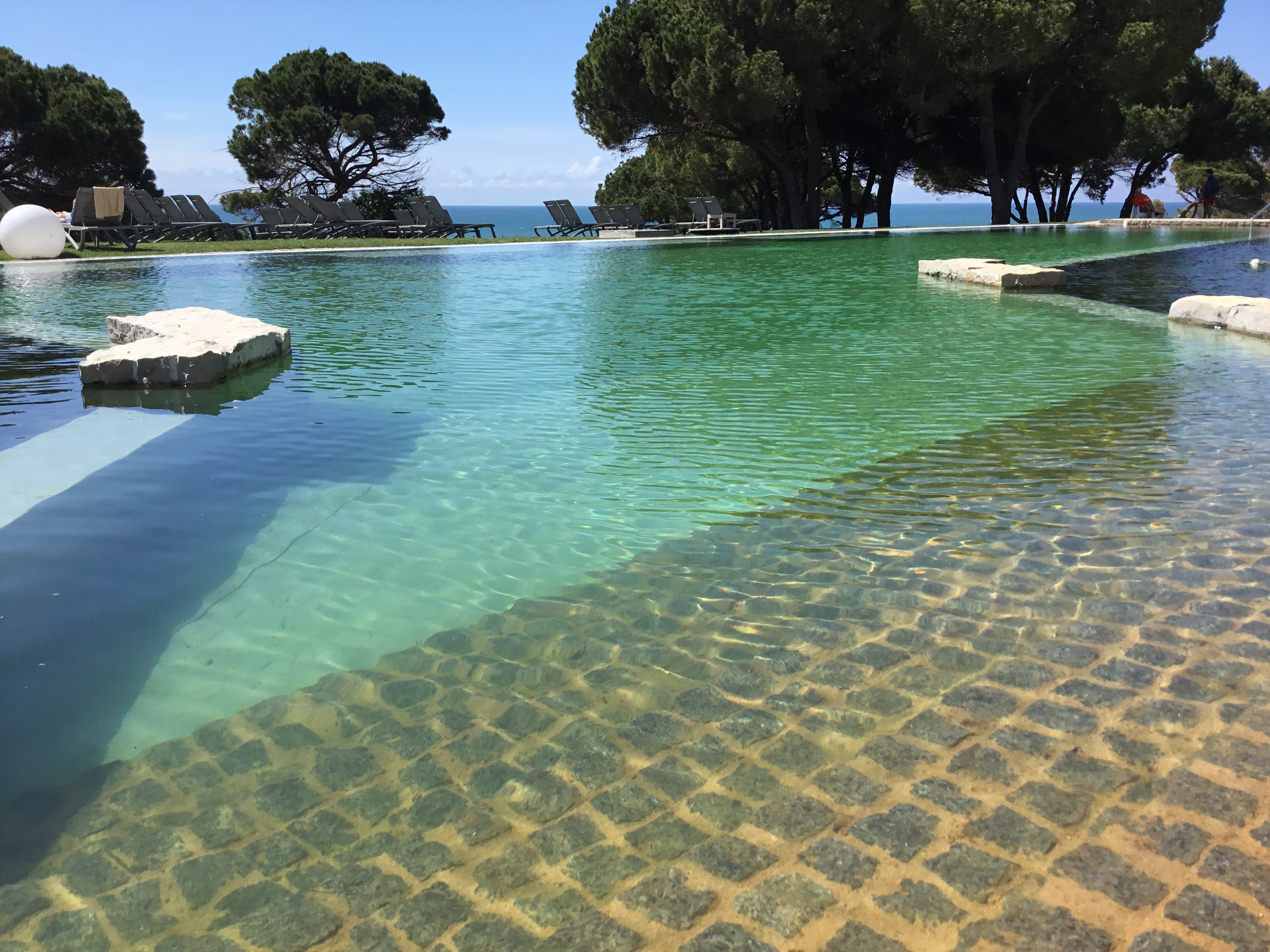 Biological swimming pools – Piscinas Biológicas
