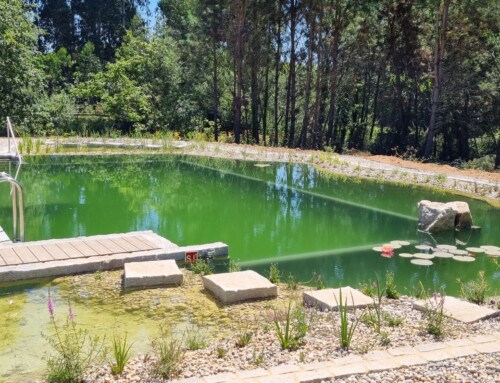 A well-equipped swimming pond