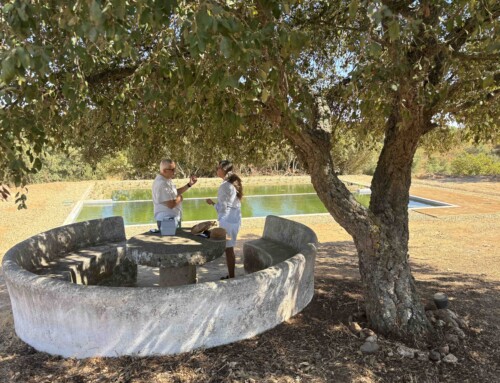 Piscina biológica 2.0