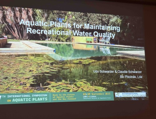 Plantas aquáticas em destaque
