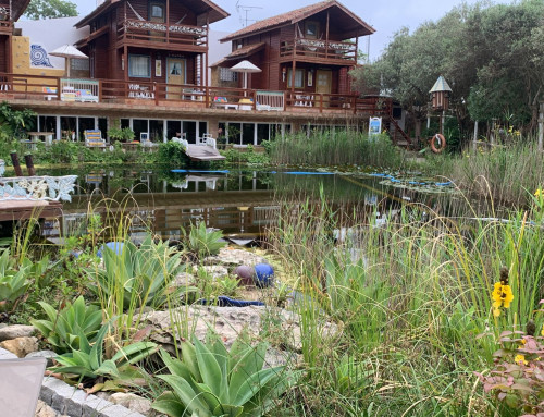 Every natural swimming pool is unique