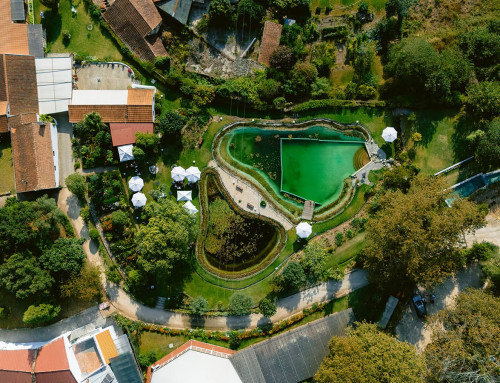 Recommended: natural swimming pools